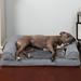 Archie & Oscar™ Estella Plush & Suede Cooling Gel Top Sofa Dog Bed Suede in Gray/White | Large (36" W x 27" D x 6.5" H) | Wayfair