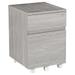 HYYYYH Rolling Lock and Storage 2 Drawer Vertical Filing Cabinet 15.75 L x 17.75 W x 23 H Gray