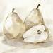 Lark Manor™ White Pear Study I by Ethan Harper - Wrapped Canvas Painting Canvas | 30" H x 30" W | Wayfair B374345B1AFF4499828E33B6E20495EF