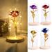 MyBeauty Romantic Artificial Rose Flower LED Glass Bottle Lamp Night Light Home Decor
