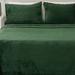 Everly Quinn Resa Plush Guest Room Microfiber Sheet Set Polyester in Green | King | Wayfair 945CC2C3CED344EEACD0BADDB75D2581