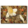 Artistic Home Gallery Persimmons & Cockatoos by Classic Collections Premium Gallery-Wrapped Canvas Giclee Art - 24 x 36 x 1.5 in.