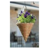 HElectQRIN 88636 Cone Hanging Basket Rope and Fern 12-Inch