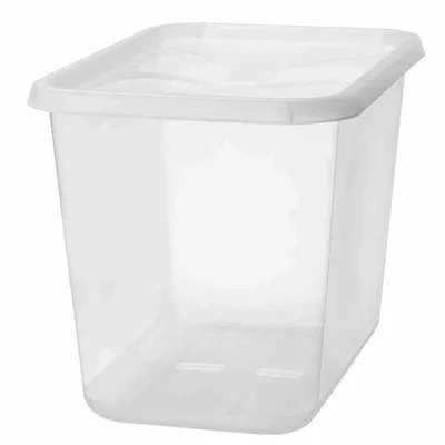 ORTHEX BasicBox XL 60 l transparent Image