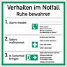 Schild Verhalten im Notfall ISO 7010, Kunststoff, 180x180 mm