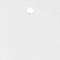 Berker Zentralstück pws/gl 11468989 Image
