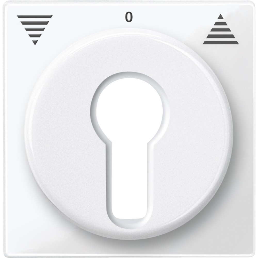 Merten Zentralplatte pws/gl 319419 Image