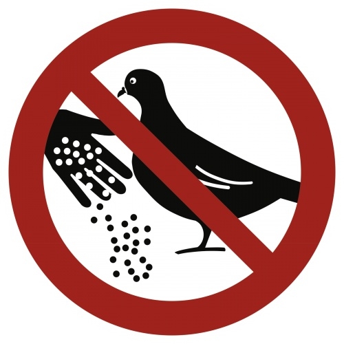 Schild Tauben füttern verboten, Alu, 1,8 mm, Ø 200 mm Image