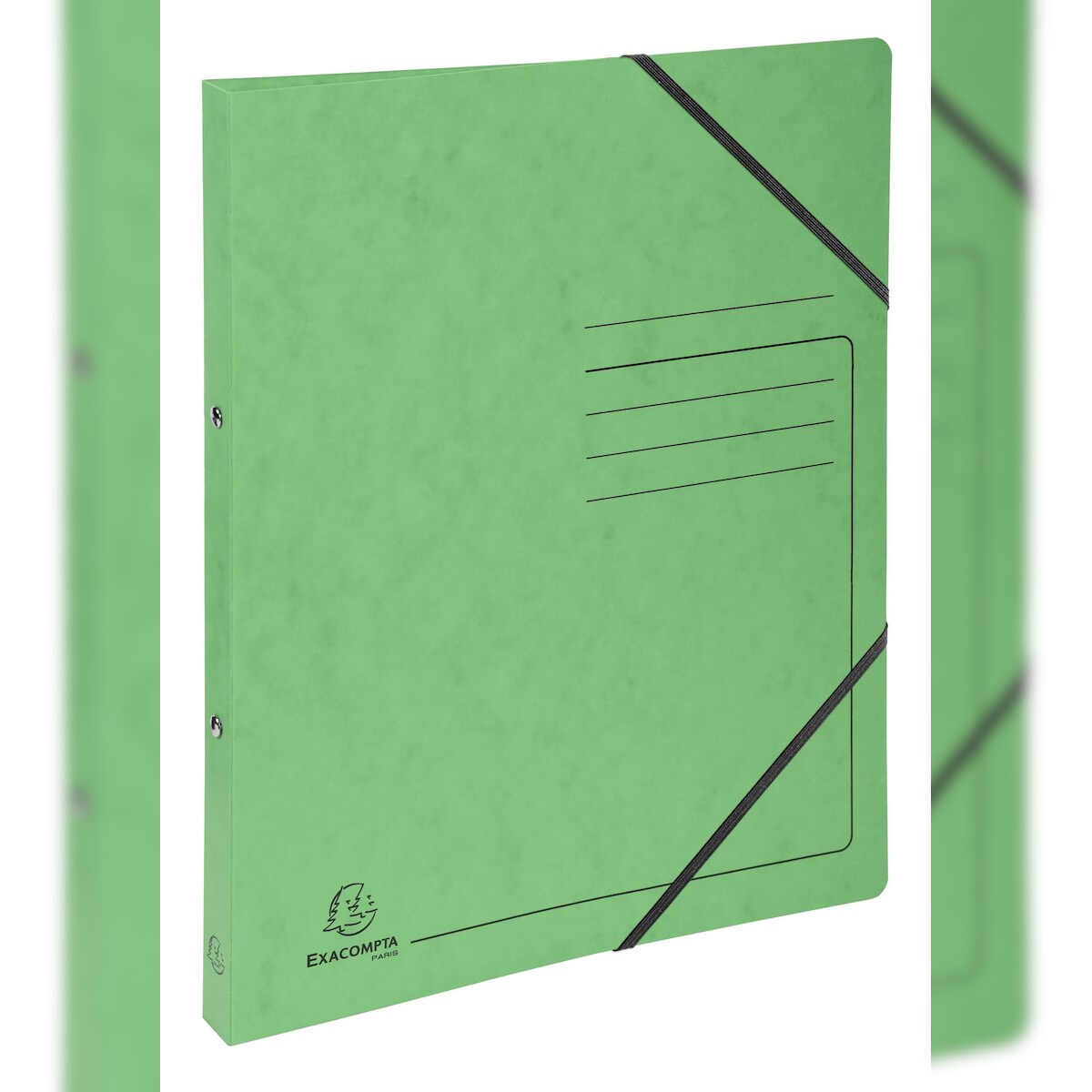 Exacompta 542563E 10x Ringhefter 2 Ringe 15mm, Colorspan-Karton bedruckt - A4 - Lindgrün Image