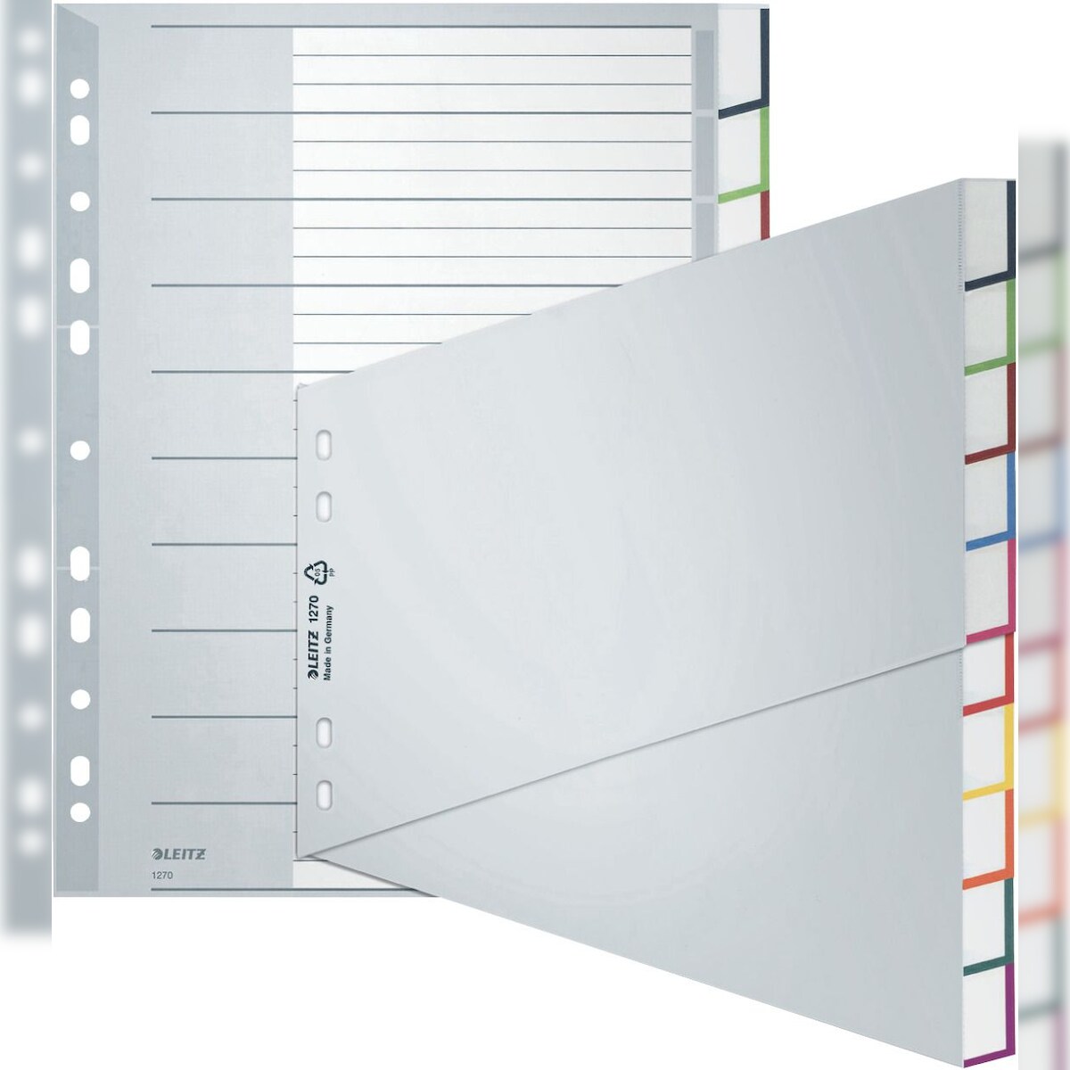LEITZ Kunststoff-Register, blanko, A4 šberbreite, schr„g Image