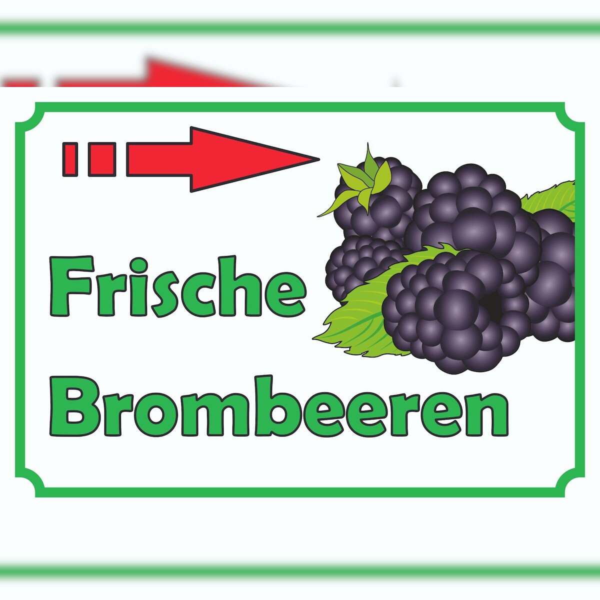 Verkaufsschild Schild Brombeeren rechts A3 Rückseite selbstklebend Image