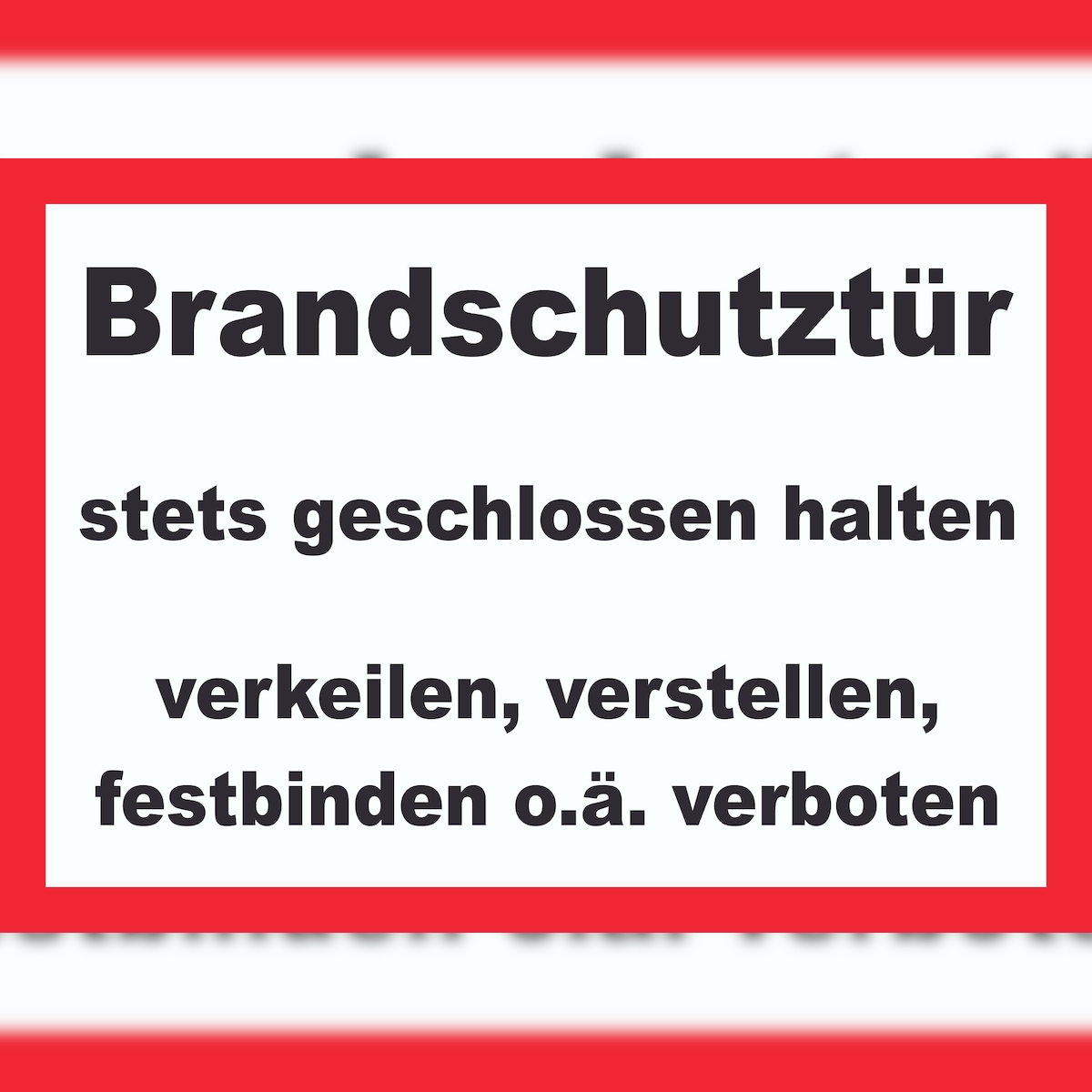 Brandschutztür Schild A4 (210x297mm) Image