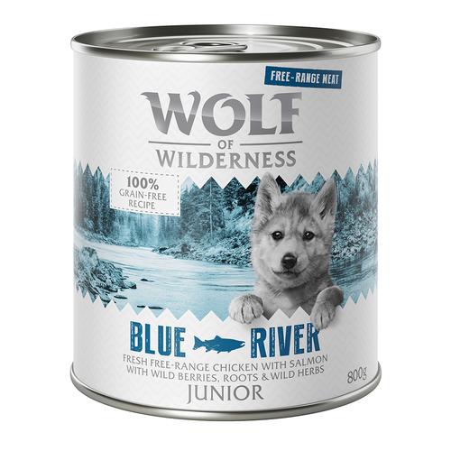 6 x 800 g Wolf of Wilderness Junior 