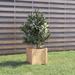 Latitude Run® Wood Outdoor Planter Box Wood in Brown | 12.2 H x 12.2 W x 12.2 D in | Wayfair 140CA5A0659E44DF8F9C8BF9D8534C66