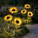 QJUHUNG Solar Sunflower Lights LED Solar Stake Lights with 12 Sunflowers for Patio Lawn Garden Yard Pathway Decoration
