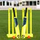 FORTRESS Garden Cricket Set - Available in 3 Sizes | Full Set or Half Set | Lightweight Cricket Equipment (Full Set, Senior (Full Size))