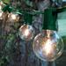 The Holiday Aisle® Hinds 50' Outdoor 50 - Bulb Globe String Light in Green/White/Black | 50 W in | Wayfair 89F547F6D0D04B149F2A1BA4033AFBC2