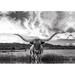 Steelside™ Black & White Longhorn Cow I - Wrapped Canvas Photograph in Black/Gray/White | 8 H x 12 W x 1.25 D in | Wayfair