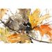 Steelside™ Watercolor Autumn Leaves II by Samuel Dixon - Wrapped Canvas Painting Print Paper in Brown/Gray/Orange | 20" H x 30" W | Wayfair