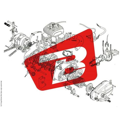 AFAM Ducati 6pcs Kronenknöpfe – Ducati Kettenrad 6pcs