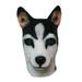 dog mask Novelty Halloween Underdog Costume Party Latex Animal Dog Head Mask - Random Ear Color (Husky)