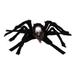 1Pc Halloween Pet Costume Cat Dog Dog Spider Skull Design Costume Pet Supply