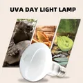 UVA+UVB Reptile Heating Lamp 220v Heater Bulb For Turtle Lizard Reptile Pet Daylight Lamp Aquarium