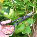 20.5cm Beginner Bonsai Tool Long Handle Scissors Gardening Plant Branch Shears Garden Pruning Tools