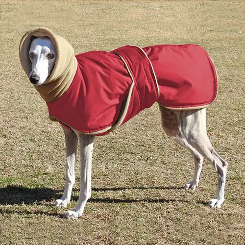 Super Warm Dicken Hund Kleidung Wasserdicht Hund Mantel Jacke Für Medium Large Hunde Greyhound