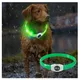 Neue LED leuchtende Hunde halsband PVC wasserdicht für große mittelgroße kleine Hunde halsband USB