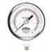 WINTERS PFP643WBW Pressure Gauge, 0 to 60 1/4 in MNPT, Gray