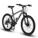 24 Inch Mountain Bike 21 Speed Mountain Bicycle with Daul Disc Brakes Front Suspension MTB Gray