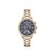 Hera Plated Stainless Steel Fashion Analogue Quartz Watch - 1502566