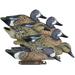 Higdon Outdoors Standard Blue Wing Foam-filled Decoys w/Innovative Keel Clip Self-Righting Weighted Keel UV Painting Deep Realistic Carving 6-Pack