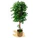 6 ft Ficus, Artificial Tree with Natural Trunks, Made with The Best Materials, Ideal for Home Decoration, Artificial Plant