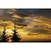 Silhouette of Two Evergreen Trees with Dramatic Colourful Clouds with Sunrise - Calgary Alberta Canada Print - 19 x 12 in.