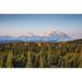 Early Morning Shot of The North Face of Mt Mckinley From Wonder Lake with Alpine Glow on The Upper Mountain in Denali Poster Print - 38 x 24 in. - Large