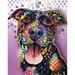 Best of Breed DR067 28 x 40 in. Pit Bull 6-Dean Russo House Flag