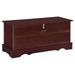18.5 x 40 x 16 in. Traditional Chic Lift Top Wooden Chest with Locking Lid Dark Brown