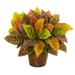 17 in. Garden Croton Artificial Plant in Basket