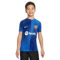 Nike Unisex Kinder Fußball Oberteil FCB Ynk Df Acdprsstopinfk Pmha, Royal Blue/Royal Blue/White, DX3628-464, XL