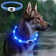 Neue LED leuchtende Hunde halsband PVC wasserdicht für große mittelgroße kleine Hunde halsband USB