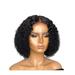 COFEST Health & Beauty Short Roll Curly Hair Middle Score Wig Fashion Natural Wig High Temperature Wire 13.77in Short Wig For Women Daily LifeParties Festivals Black B