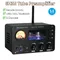 Preamplificatore valvolare Bluetooth Amplificatori 2 canali HiFi 6H3N Preamplificatore valvolare per altoparlante Amplificatore audio Home Theater Karaoke