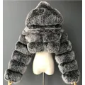 Autunno Furry Cropped cappotti in pelliccia sintetica giacche donna Fluffy Top Coat con cappuccio