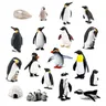 Realistico ciclo di crescita in plastica figurine di pinguini varietà di pinguini polari Arctic
