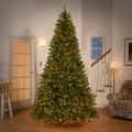 National Tree Company Green Spruce Christmas Tree w/ LED Lights, Metal | 63 W in | Wayfair NRV7-LP66-90