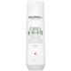 Goldwell Dualsenses Curls & Waves Hydrating Shampoo