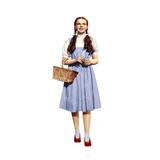 The Wizard Of Oz Judy Garland As Dorothy 1939 Poster Print (16 x 20)