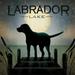 Wild Apple Graphics Moonrise Black Dog - Labrador Lake Poster Print by Ryan Fowler - 12 x 12 - Small